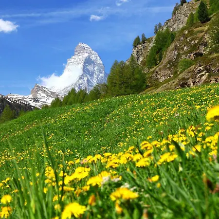 Bergere-2 By Interhome * Zermatt